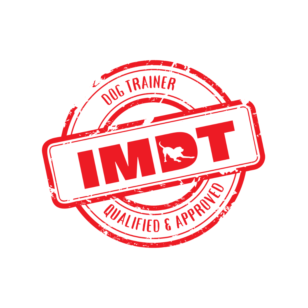 imdt logo 